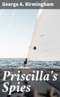 Priscilla's Spies