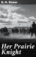 Her Prairie Knight