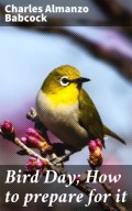 Bird Day; How to prepare for it