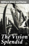 The Vision Splendid