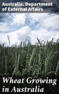 Wheat Growing in Australia
