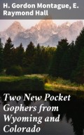 Two New Pocket Gophers from Wyoming and Colorado