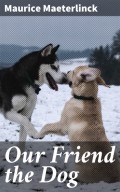 Our Friend the Dog