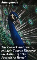 The Peacock and Parrot, on their Tour to Discover the Author of "The Peacock At Home"