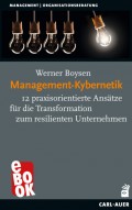 Management-Kybernetik