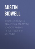 Bidwell's Travels, from Wall Street to London Prison: Fifteen Years in Solitude