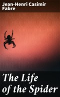 The Life of the Spider