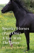 Spunky Horses (Part One) - A Year With The Horses