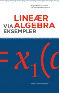 LineAer algebra via eksempler