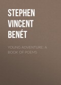 Young Adventure: A Book of Poems