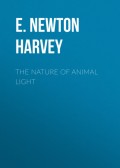 The Nature of Animal Light