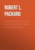 New Subspecies of the Rodent Baiomys from Central America