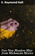 Two New Meadow Mice from Michoacán Mexico