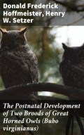 The Postnatal Development of Two Broods of Great Horned Owls (Bubo virginianus)
