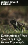 Descriptions of Two Species of Frogs, Genus Ptychohyla
