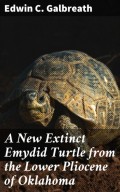 A New Extinct Emydid Turtle from the Lower Pliocene of Oklahoma