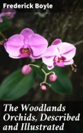 The Woodlands Orchids, Described and Illustrated
