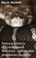 Natural History of Cottonmouth Moccasin, Agkistrodon piscovorus (Reptilia)