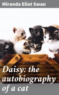 Daisy: the autobiography of a cat