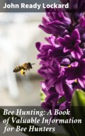 Bee Hunting: A Book of Valuable Information for Bee Hunters