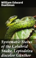 Systematic Status of the Colubrid Snake, Leptodeira discolor Günther