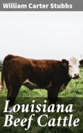 Louisiana Beef Cattle
