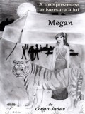 A Treisprezecea Aniversare A Lui Megan