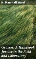 Grasses: A Handbook for use in the Field and Laboratory