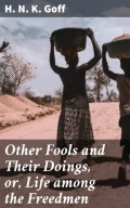 Other Fools and Their Doings, or, Life among the Freedmen