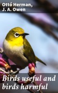 Birds useful and birds harmful