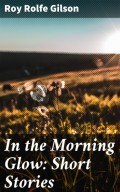 In the Morning Glow: Short Stories