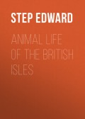 Animal Life of the British Isles