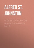 In Quest of Gold; Or, Under the Whanga Falls