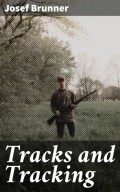 Tracks and Tracking