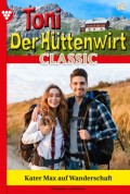 Toni der Hüttenwirt Classic 65 – Heimatroman