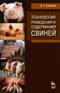 Технология разведения и содержания свиней