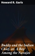 Buddy and the Indian Chief, or, A Boy Among the Navajos