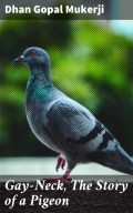 Gay-Neck, The Story of a Pigeon