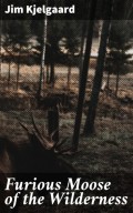 Furious Moose of the Wilderness