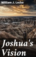 Joshua's Vision