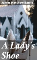 A Lady's Shoe