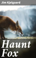 Haunt Fox