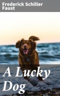 A Lucky Dog
