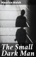 The Small Dark Man