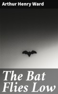 The Bat Flies Low