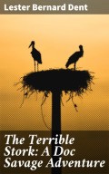 The Terrible Stork: A Doc Savage Adventure