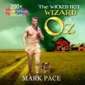 The Wicked Hot Wizard of Oz - Sound Effects Special Edition (Unabridged)