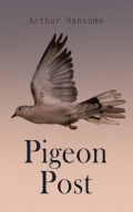 Pigeon Post