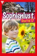 Sophienlust Staffel 17 – Familienroman