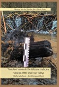 The role of beavers in the Holocene landscape evolution of the small river valleys (the Tuchola Forest – North European Plain)